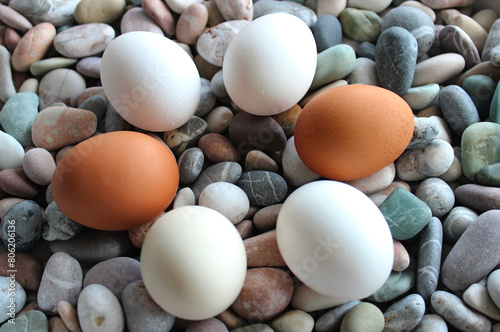Whole Colorful Eggs Laid Out In A Circle Form On A River Rocks Angle View Stock Photo 