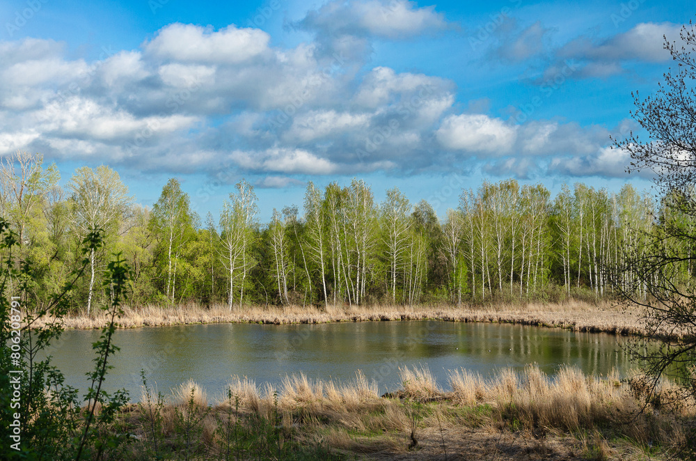 Spring landscape with a small river, birch forest and blue sky