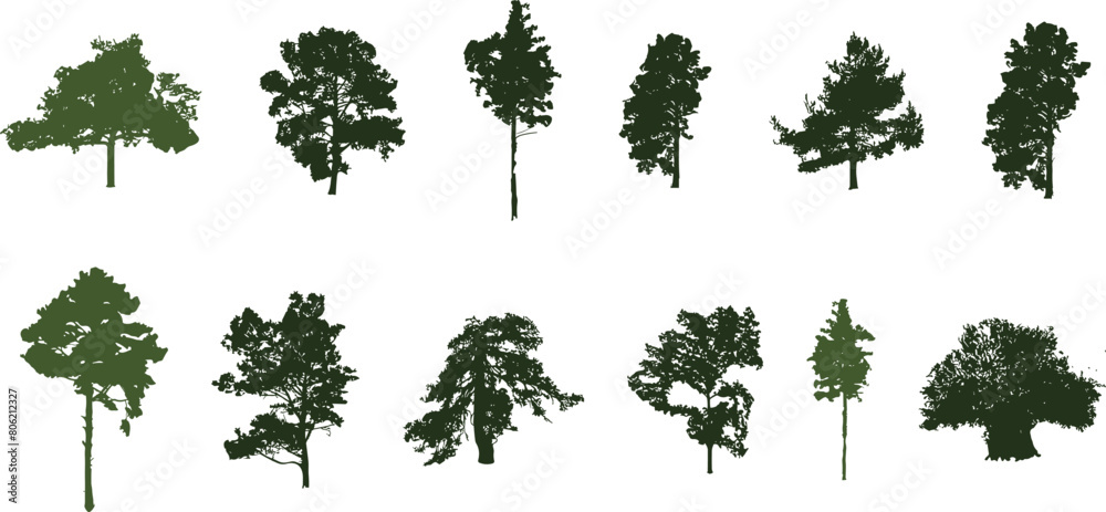 silhouette tree line drawing set, Side view, set of graphics trees elements outline symbol for architecture and landscape design drawing