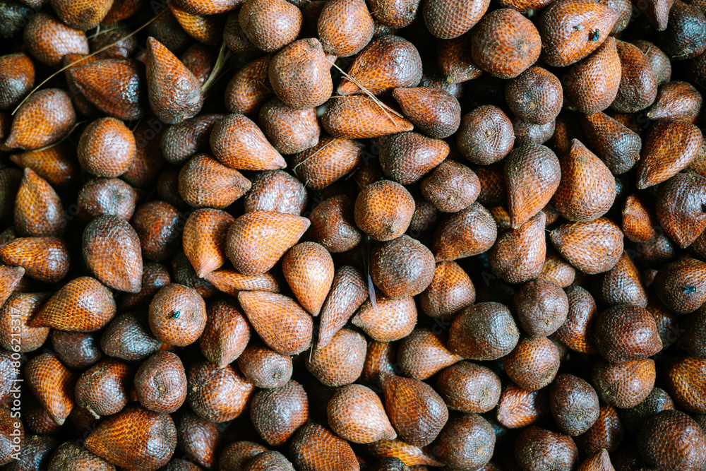Salak is a species of palm tree native to Java and Sumatra in Indonesia. It is cultivated in other regions of Indonesia as a food crop, and reportedly naturalized in Bali, Lombok, Timor, Maluku Salak is a species of palm tree native to Java and Sumatra in Indonesia. It is cultivated in other regions of Indonesia as a food crop, and reportedly naturalized in Bali, Lombok, Timor, Maluku
