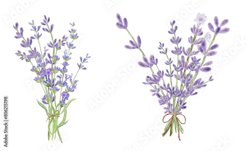 Bouquet lavender flowers in watercolor