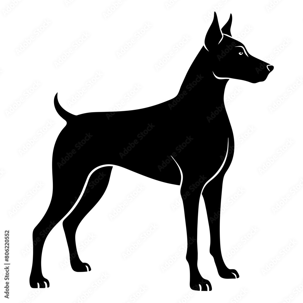 black silhouette of a dog