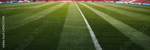 Fresh green grass, perfect for football sport, inviting play and performance.