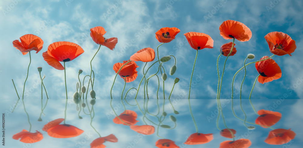 Obraz premium A group of red flowers are reflected in the water. The flowers are in full bloom and are scattered throughout the image. The water is calm and clear, creating a serene and peaceful atmosphere,banner