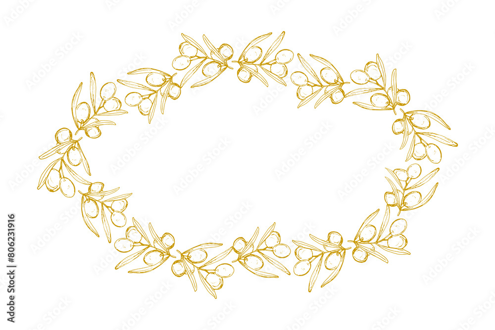 Oval floral frame from olives vector illustration isolated on white background. Hand drawn leaves. Healthy food design element.