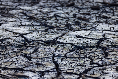 Parched Earth: The Thirst of the Land