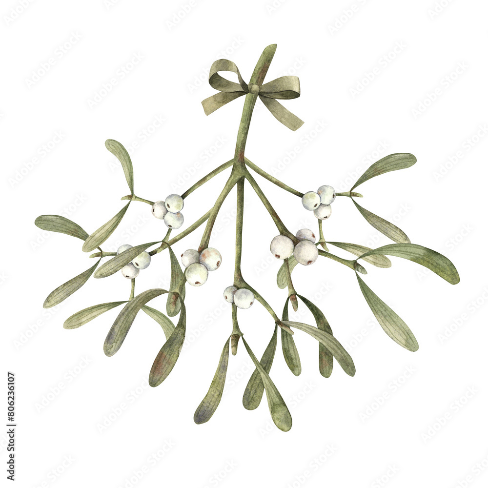 Bouquet of mistletoe with white berries and green bow. Christmas watercolor illustration on isolated background. Illustration for greeting cards, holiday banners, wrapping paper, christmas decorations Bouquet of mistletoe with white berries and green bow. Christmas watercolor illustration on isolated background. Illustration for greeting cards, holiday banners, wrapping paper, christmas decorations