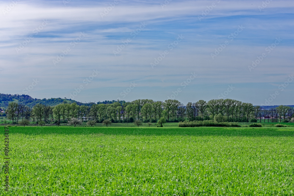 Fototapeta premium Beautiful spring fields of Bavaria