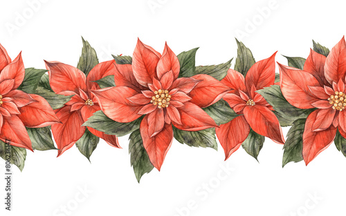 Poinsettia, Christmas red flower with green leaves. Seamless watercolor botanical border in vintage style on isolated background. Drawing for invitations, banners, cards, wrapping paper, decor.