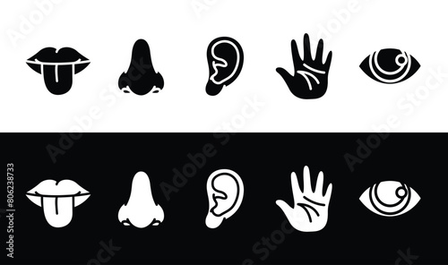 Set of human 5 senses icon symbol. Taste  smell  hearing  touch  sight. Five senses silhouette  vector illustration 