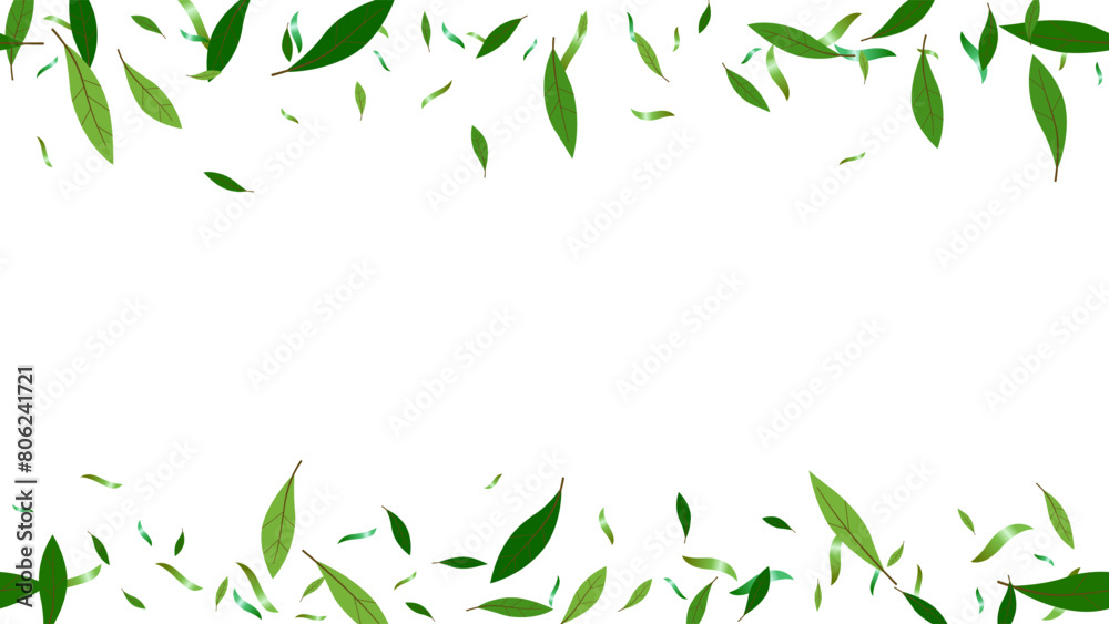 Obraz premium Leaf branch green fresh decoretion background, backdrop frame ecology concept