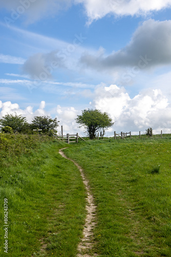 Looking along a grass pathway in the South Downs on a spring day photo