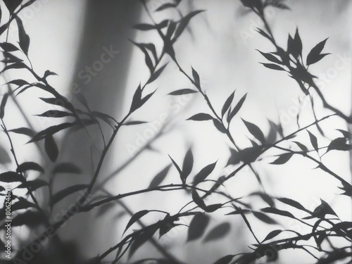 branches with leaves © birdmanphoto