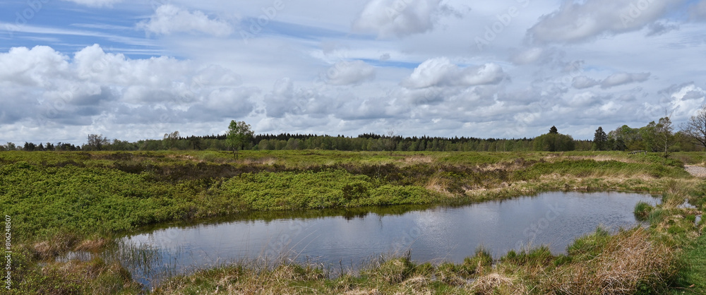 Beautiful view of the Fagne de Malchamps Beautiful view of the Fagne de Malchamps