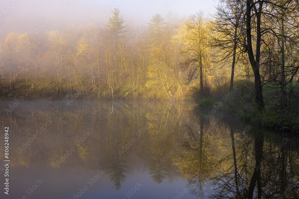 A Foggy Pond In The Woods During Spring Scenic Landscape A Foggy Pond In The Woods During Spring Scenic Landscape