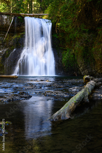 North Fork Silver Creek flows over Upper North Falls in a waterfall curtain in Oregon with diagonal log in in riverbed as leading line to slow motion curtain of water