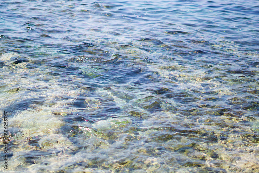Sea Turtle Swimming across Crystal Sea Waters and Waves in Taiwan Xiaoliuqiu Sea Turtle Swimming across Crystal Sea Waters and Waves in Taiwan Xiaoliuqiu