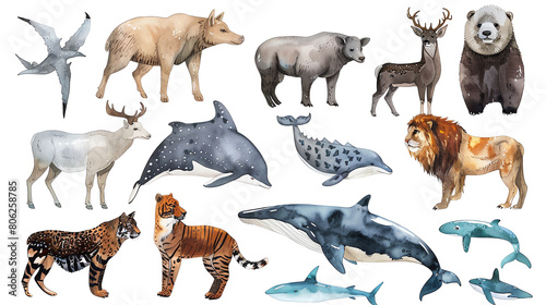 A group of animals including a bear  a deer  a goat  a horse  a whale  and a dolphin.