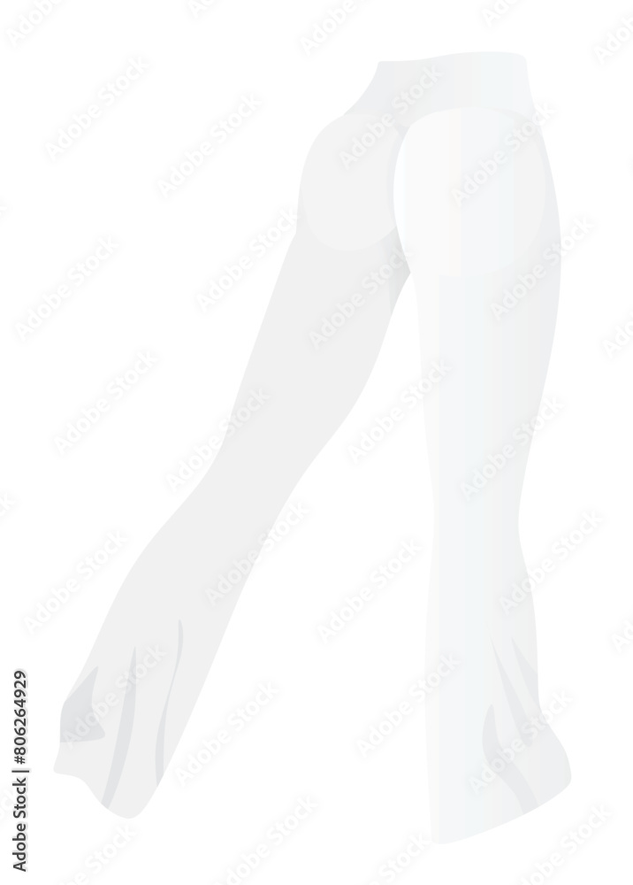 White tight pants leggings. vector illustration White tight pants leggings. vector illustration