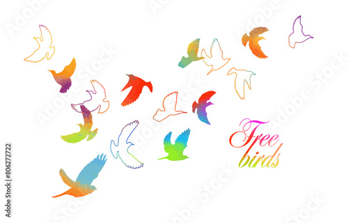 A flock of colored birds. hand drawing. Free birds. Not AI  Vector illustration