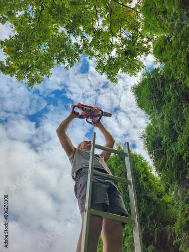 Man climbing a ladder with a chainsaw under the bright sky, surrounded by lush green trees in a forest on a sunny day, showing harmony between nature and human activity in a picturesque setting.