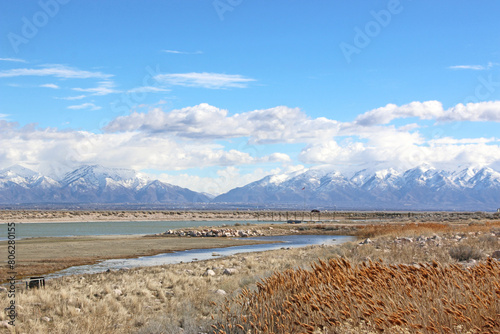 Shore of Antelope Island in the Salt Lake  Utah 
