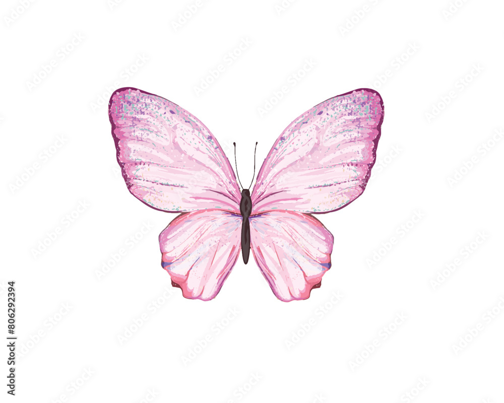 pink watercolor and butterflies illsutration	