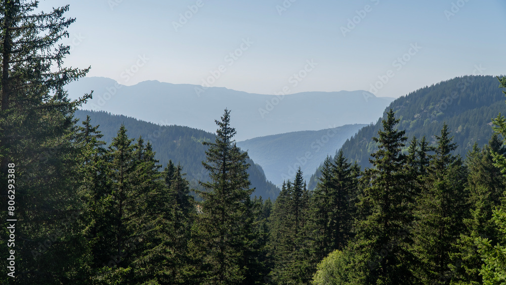 large mountain landscape