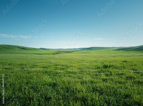 Vast green grassland landscape under blue sky photo