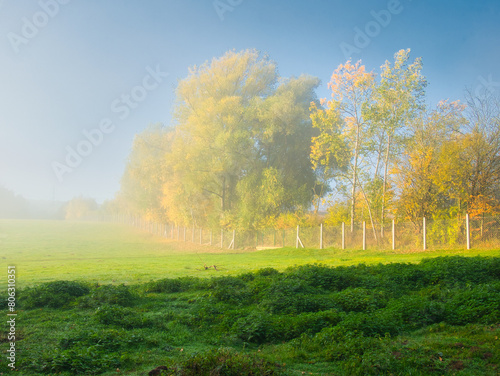 Fototapeta Naklejka Na Ścianę i Meble -  Sunny foggy landscape during autumn day