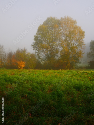 Sunny foggy landscape during autumn day