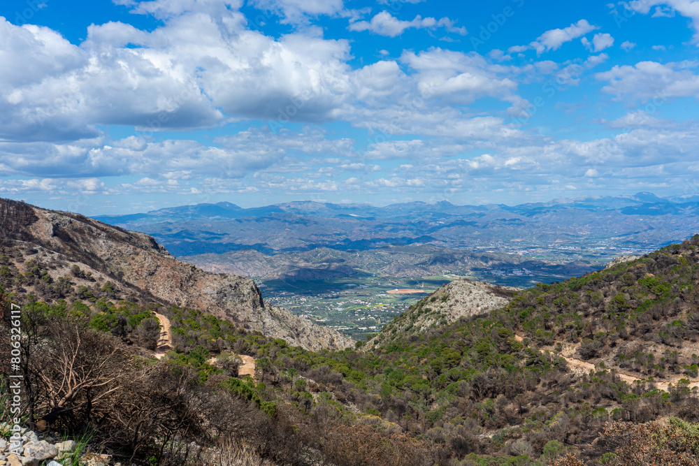 Naklejka premium Burnt forest on trail to the peak Mijas, Malaga, Spain