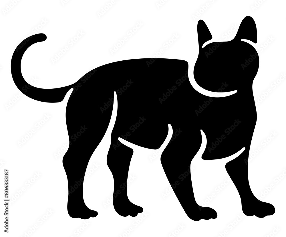 Cat, kitten and cat like, felino. Animal and pet, veterinary and pet store, illustration