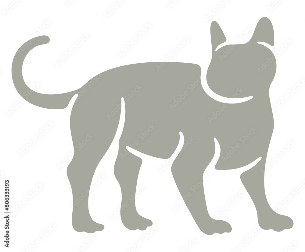 Cat, kitten and cat like, felino. Animal and pet, veterinary and pet store, illustration