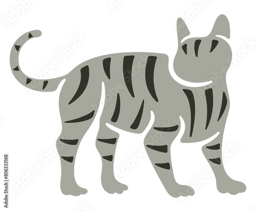 Cat  kitten and cat like  felino. Animal and pet  veterinary and pet store  illustration