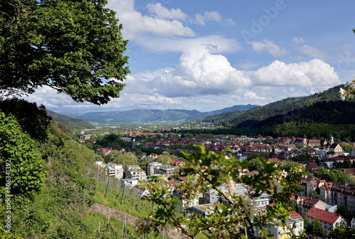 Der Osten von Freiburg im Frühling