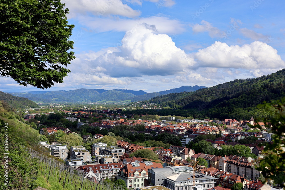 Der Osten von Freiburg im Frühling