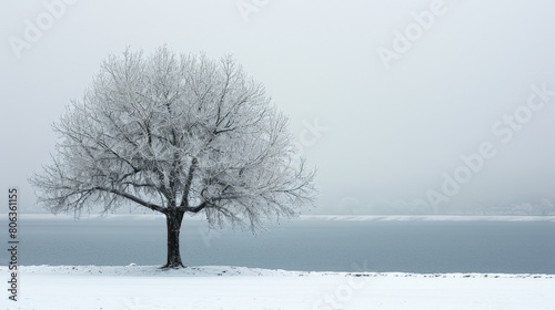 The picture of the single tree that has been covered with white snow in the middle of the empty snow land in the winter season and light from the sun can make everything bright clear on land. AIGX03.