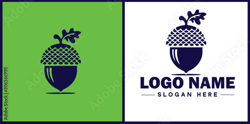 acorn icon Oak nut Acorn nut Acorn seed flat logo sign symbol editable vector