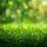 The image features a close-up of a lush green lawn with sunlight shining through. The background is blurred, and the foreground is focused on the green grass. The grass is covered in dew drops, adding