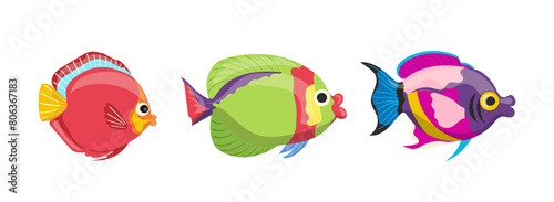 Vector illustration of tropical fish sea or ocean creature design isolated on white background