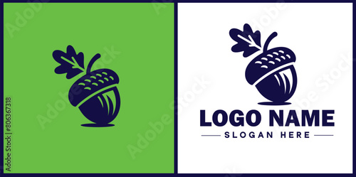 acorn icon Oak nut Acorn nut Acorn seed flat logo sign symbol editable vector
