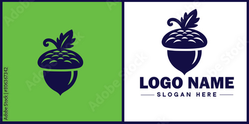acorn icon Oak nut Acorn nut Acorn seed flat logo sign symbol editable vector