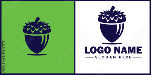 acorn icon Oak nut Acorn nut Acorn seed flat logo sign symbol editable vector