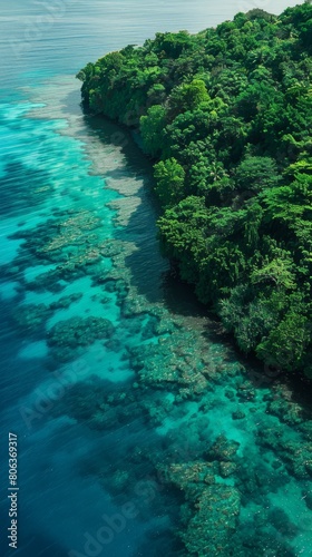 Aerial shot of a tropical coastline showing the dense green forest meeting the clear blue ocean water with coral reefs