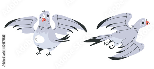 Cute doves birds pigeons characters isolated set. Vector flat graphic design element illustration