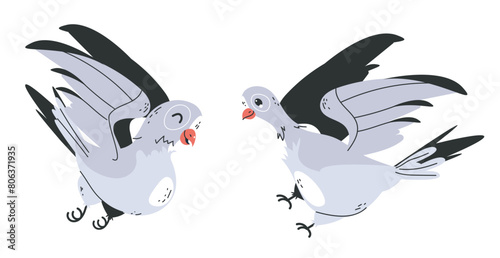 Cute doves birds pigeons characters isolated set. Vector flat graphic design element illustration