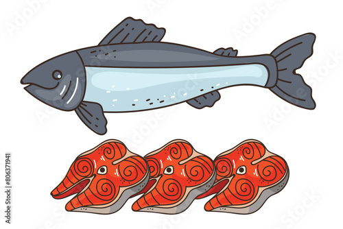 Fish salmon tuna food raw slice fillet piece isolated set. Vector graphic design illustration