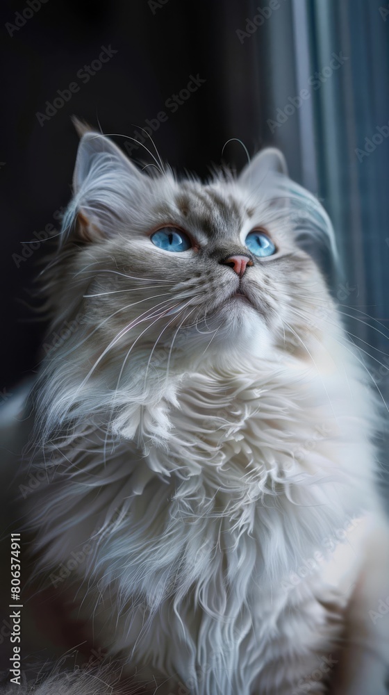 Beautiful cat with blue eyes, generated with AI