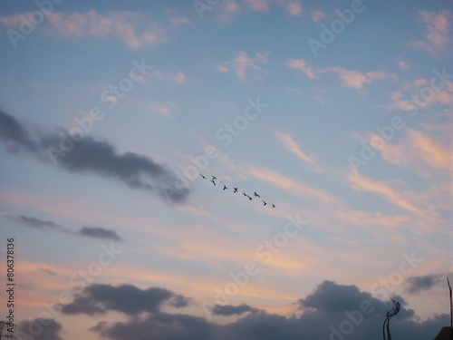 kite in the sky photo